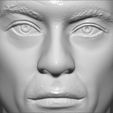 17.jpg Van Damme Kickboxer bust 3D printing ready stl obj formats