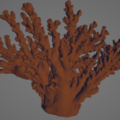 Screenshot-2023-01-19-194405.png Live Coral 3D Scanned