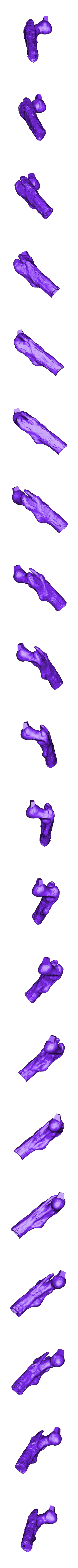 Femur_Right_Part_01.OBJ Scheletro di piccolo T-rex a grandezza naturale - Parte 03/10