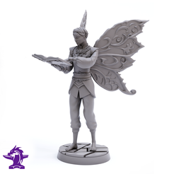 1B.png Fairy Attendant NPC Reading Book