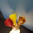 a0df310e-d228-4b31-abf6-53edf39a6077.jpg Happy Birthday Forever Roses with Heart Vase and Lighted Base