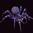 17166-POLY.jpg SPIDER COLLECTION - DOWNLOAD SPIDER 3D MODEL ANIMATED - BLENDER - 3DS MAX - CINEMA 4D - FBX - MAYA - UNITY - UNREAL - 3D PRINTING - OBJ - FBX - 3D PROJECT SPIDER CREATE AND GAME READY SPIDER WOMAN RAPTOR