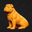 2961-Bulldog_Pose_05.jpg Bulldog Dog 3D Print Model Pose 05