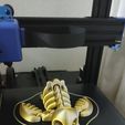 WhatsApp-Image-2023-06-06-at-7.58.32-AM.jpeg Skeleton Duckling Flexi