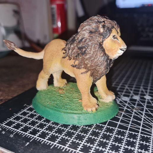 Lion1.jpg Lion