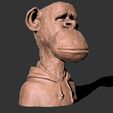 202.jpg BROAD APE NFT monkey