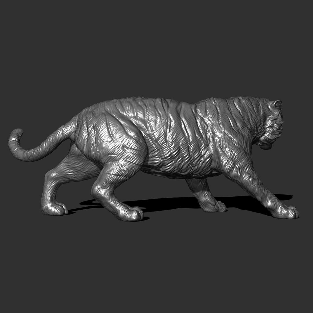 30.jpg Descargar archivo OBJ Ataque del tigre • Plan de la impresora 3D, guninnik81