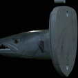 Barracuda-solo-model-16.png fish head great barracuda trophy statue detailed texture for 3d printing