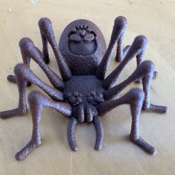 Skully the spider