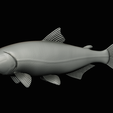 golden-dorado-statue-box-1-44.png fish golden dorado / Salminus brasiliensis with storage space / for 3d printing