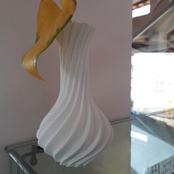 20210225_131353.jpg My vase