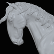 IMG_5081.png Mule,warmblood, and Roman nose horses