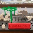 Grassland__Biome_Picture.jpg 6th Grade Biome Project