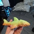 20240403_122541.jpg Shark magnet - flexi fidget toy - articulated - print in place