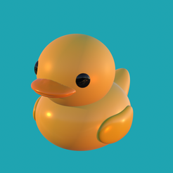 IMG_1197.png DUCKY / PATITO