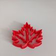 20240328_165824.jpg Sycamore and monstera leaves cookiea. sugar paste and polymer clay cutter