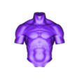 Torso.obj Torso reference