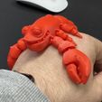 Mignon homard Flexi Print-in-Place