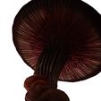 7.jpg Mushroom Giant FOREST NATURE GRASS VEGETABLE FRUIT TREE FOOD WORLD LANDSCAPE MAGIC Mushroom Giant B