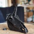Unicorn Skull