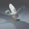 0014.png Photorealistic duck - posable/rigged [stl file included ]