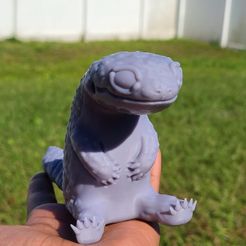 LGPhoto.jpg Download file Leopard Gecko • Object to 3D print, SpookyFloof