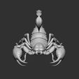 01.jpg Scorpion