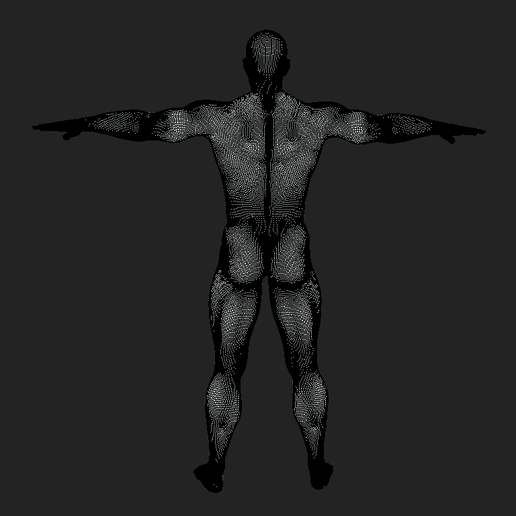 8.png Base du corps de l'homme T-Pose