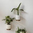 Big-3D-printed-wall-planters-hanging-planters.jpg JUMBO Wall planters