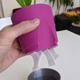 IMG_20200508_121052.jpg PLANTER 01