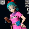 Bulma1.jpg BULMA DRAGON BALL
