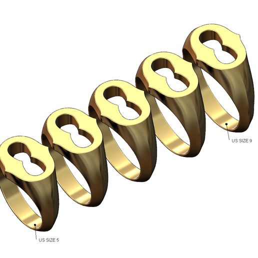Curved oblang link signet ring US sizes 5to9 3D print model 3D model