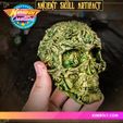 720X720-skull2-02.jpg Fancy Skull