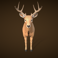 5.png Deer