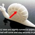curved_display_large.jpg SNAILZ... Note holders for people who are slow to get things done!