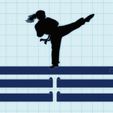 Karate-mujer.jpg Women's Martial Arts Medal List