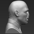 11.jpg Lord Voldemort bust ready for full color 3D printing
