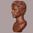 14.jpg Timothee Chalamet bust sculpture 3D print model
