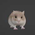 Capture-d’écran-2023-07-25-à-12.41.18.png hamster