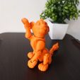 2.jpg Flexi Simba