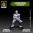 yy (ZS | VANQUISHERS : Hr ) TANI Nh OKNIGHT SOUL Studio f/f 33 MM MODULAR PRE-SUPP w PARTS & aS 7, aS Vanquishers Veteran