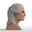 untitled.1729.jpg Geralt of Rivia The Witcher Cavill bust full color 3D printing