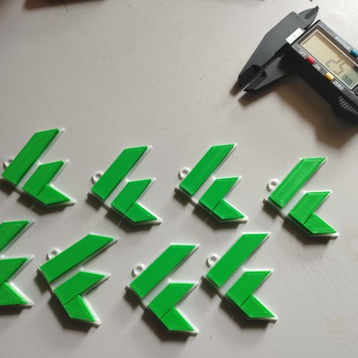 IMG_20230604_150556.jpg Flutter Logo Keychain