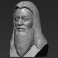 3.jpg Dumbledore from Harry Potter bust 3D printing ready stl obj