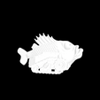 FishTank_2.png FishTank Crazy Toy
