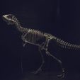 DSC_0271_Cults.jpg Download OBJ file Life size baby T-rex skeleton - Part 04/10 • 3D printable model, Inhuman_species
