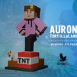 Auron-2.jpg Auron Tortillaland Minecraft