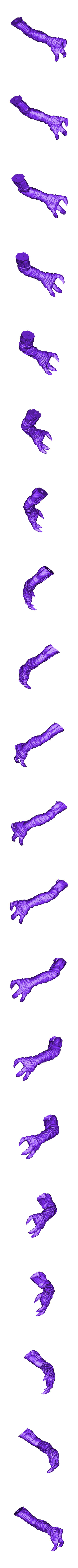 Left_hand.stl Raziel - soul reaver for 3D print.