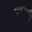 IMG_20231102_231903_958.jpg Allosaurus walking to 1:20 scale parte 2 de 4