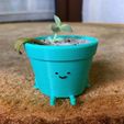 WhatsApp-Image-2021-12-11-at-21.44.23-8.jpeg Download STL file pot cute extended version succulent planter • Model to 3D print, guvenonru